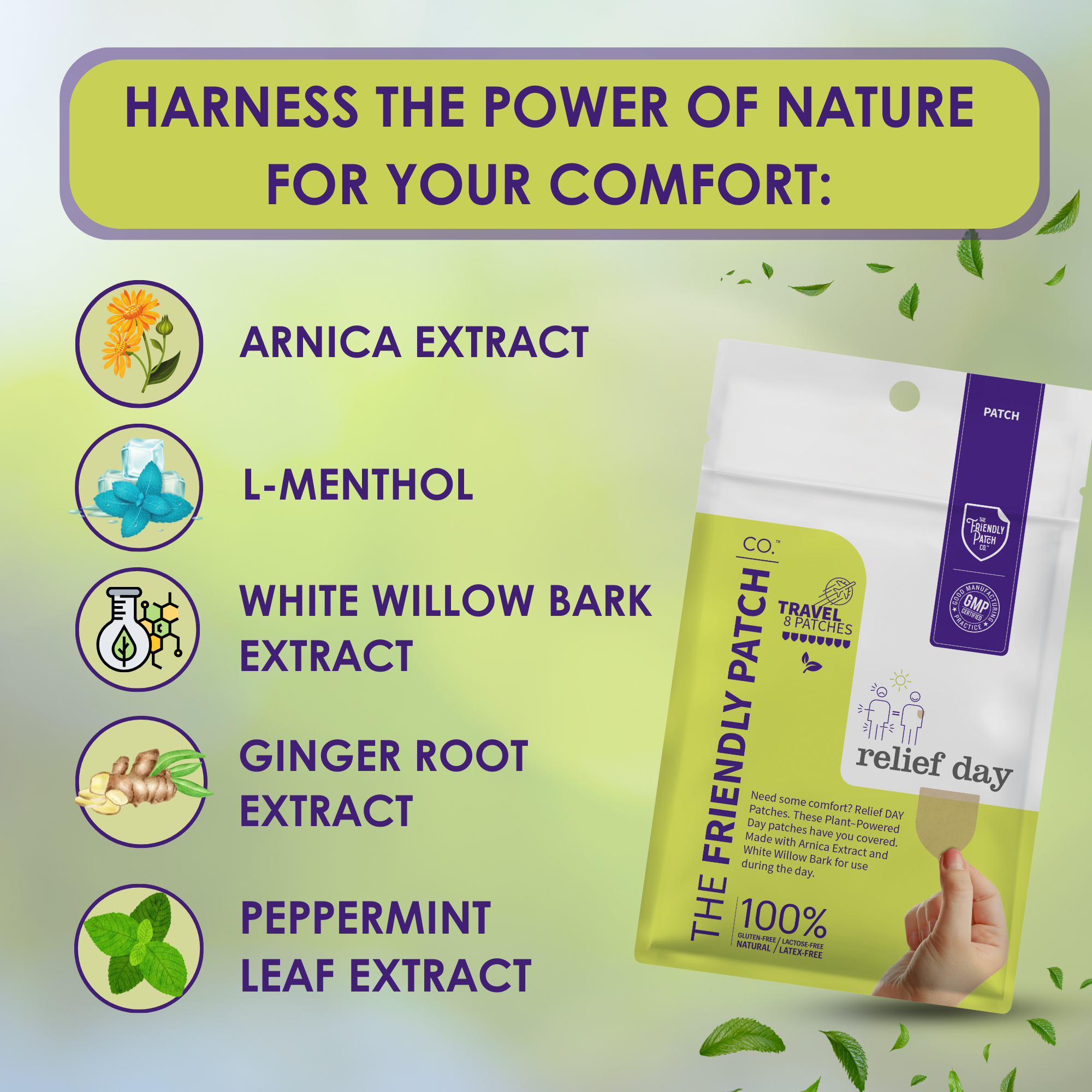 Relief Day Patches: Sustained Arnica & Willow Bark Patches - 8 pack