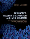 Epigenetics, Nuclear Organization & Gene Function: With Implications of Epigenetic Regulation and Genetic Architecture for Human Development and Healt - Paperback