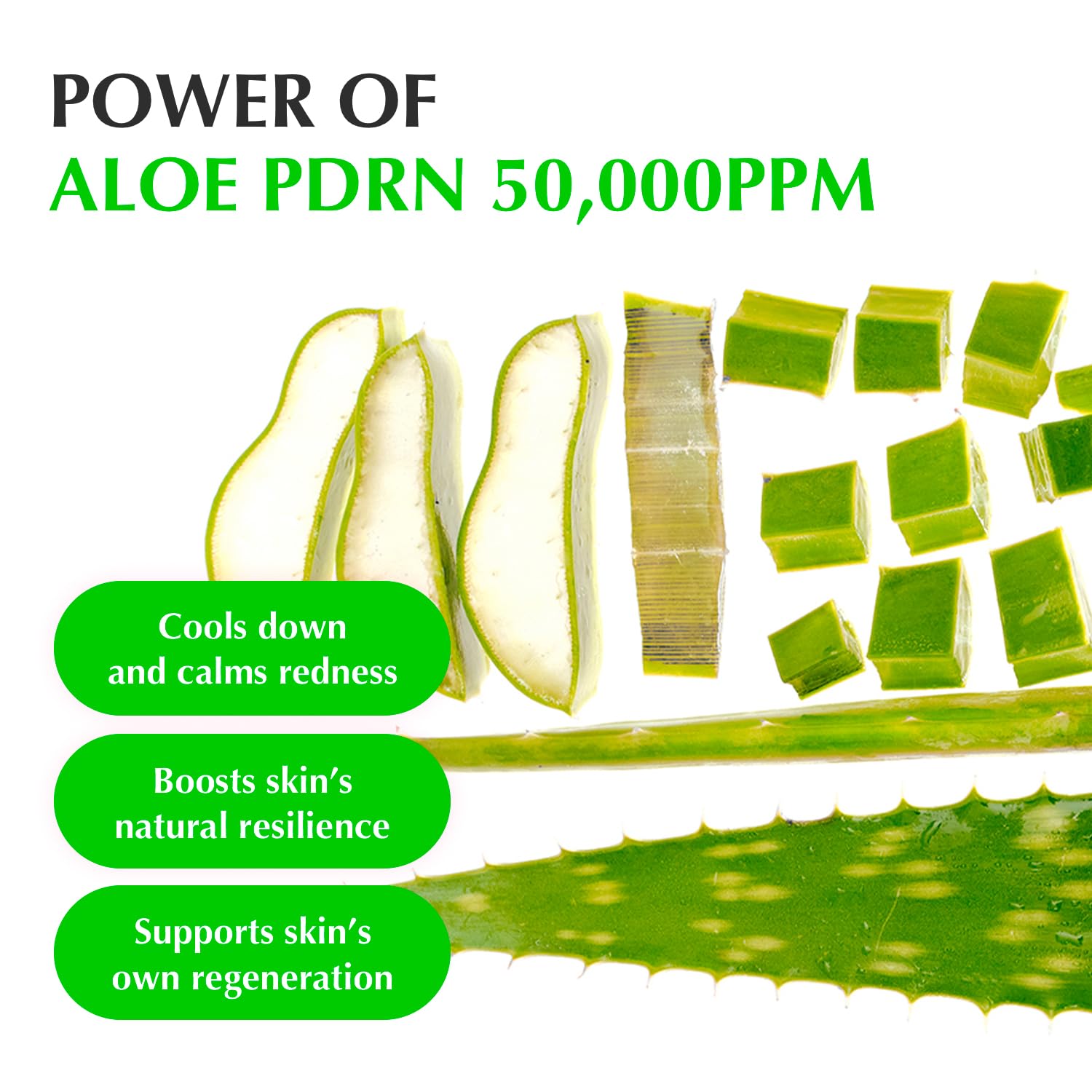 EQQUALBERRY Aloe PDRN Calming Serum – 50,000ppm Aloe PDRN for Sensitive Skin (30ml)