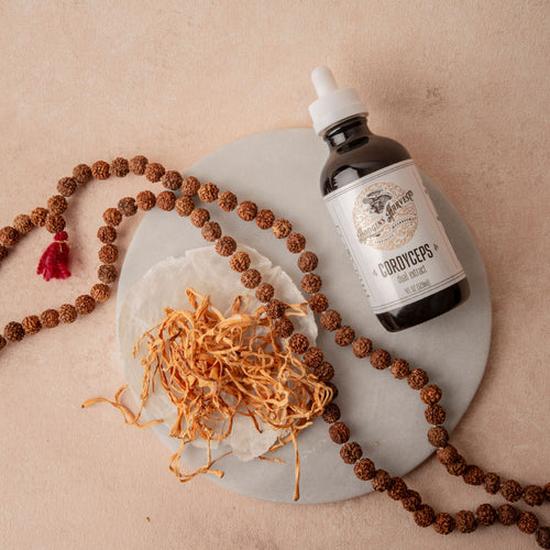 Cordyceps Dual Extract Tincture